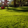 Pack Caresse 40 mm pour jardin familial