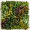 Life Mur vegetal artificiel