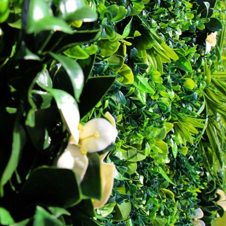 Mur Vegetal Artificiel Liseron MGS Plaque de 1Mx1M 4
