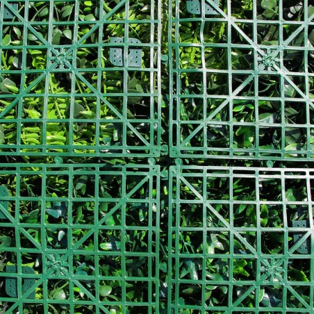 Mur Vegetal Artificiel Liseron MGS Plaque de 1Mx1M 3