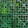 Mur Vegetal Artificiel Liseron MGS Plaque de 1Mx1M 3