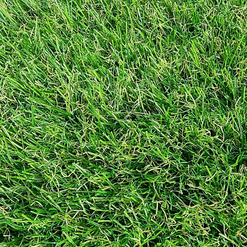 Gazon Synthetique 35mm - 2Mx25M soit 50m2 - MGS 1