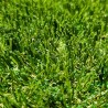 Gazon Synthetique 45mm - 2Mx25M soit 50m2 - MGS