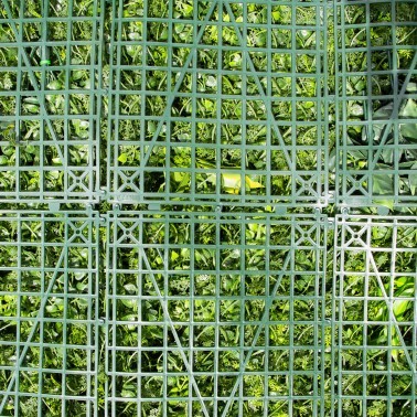 Mur vegetal artificiel brise vue Fougère dense