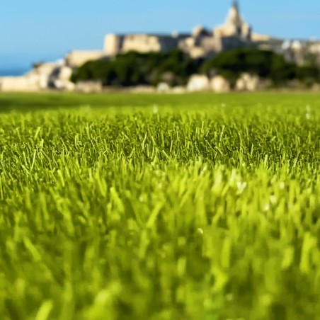 Brosseuse aspirante sans fil (batterie intégrée) silencieuse spécial grandes surfaces