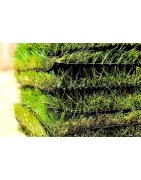 Échantillons de gazon synthétique — Box complète à 1 € Mgs