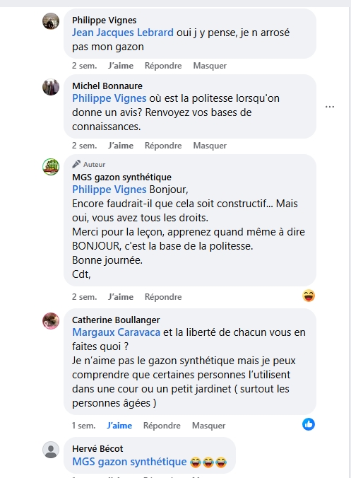 FB gazon artificiel