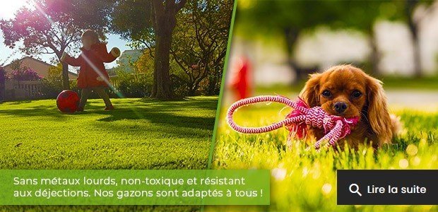 FAQ Mon Gazon Synthétique et pelouse artificielle