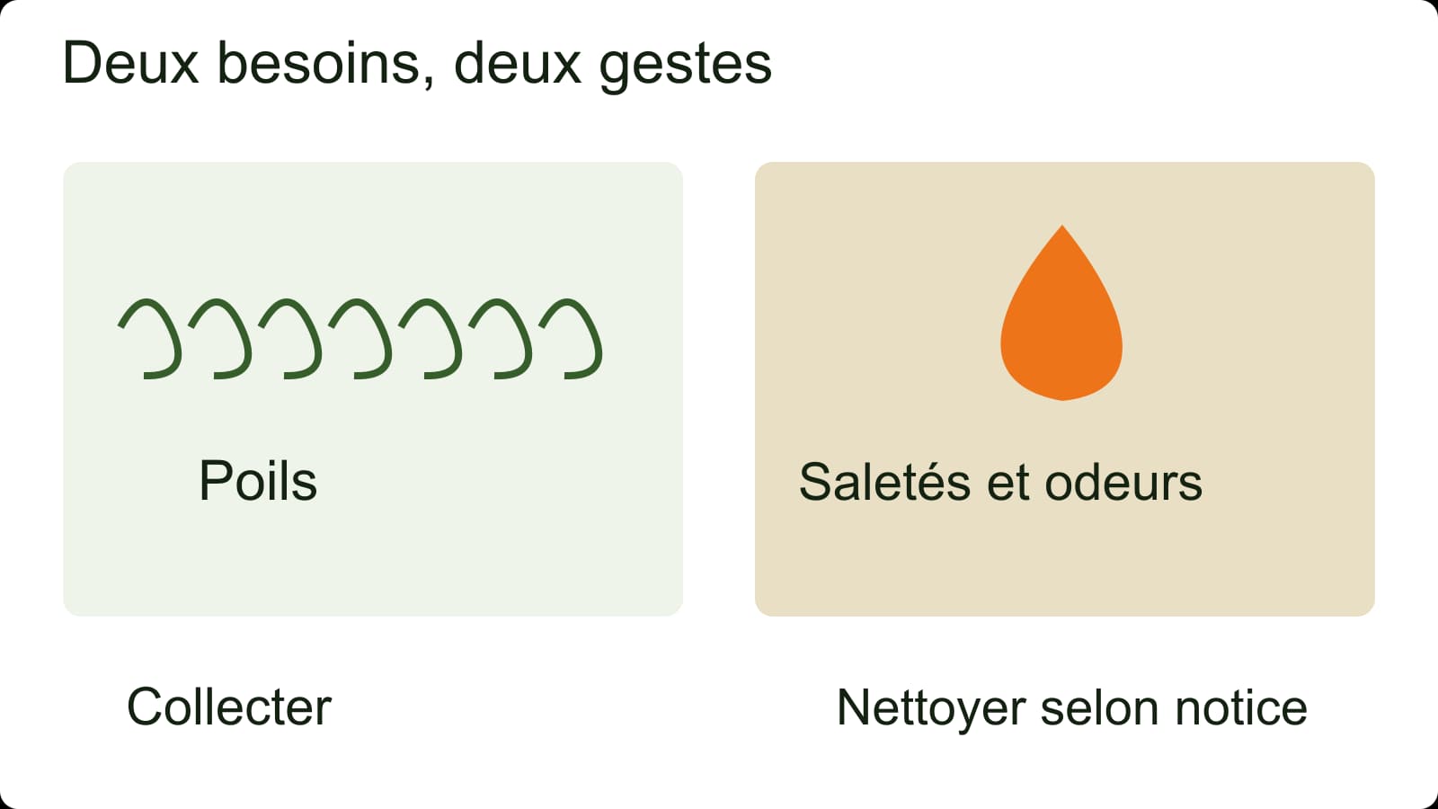 Schéma séparant poils à collecter et saletés organiques à nettoyer sur un gazon synthétique