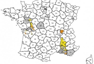 Restriction d'eau et gazon synthétique