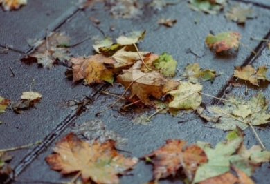 Feuilles mouillées sur gazon synthétique : que faire après la pluie ?