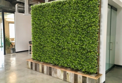 Mur Végétalise ou jardin vertical en gazon synthétique y avez-vous pensé ?